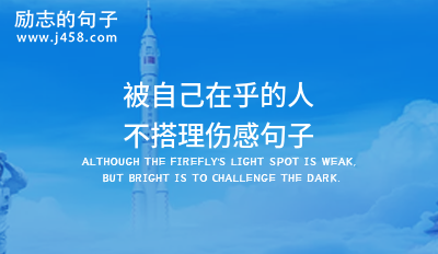 被自己在乎的人不搭理伤感句子