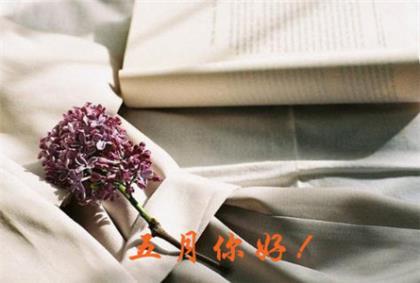 突然心酸的句子 关于孤独心酸句子