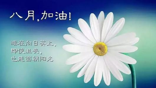 八月你好说说语录