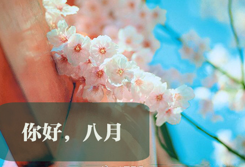 八月你好说说语录