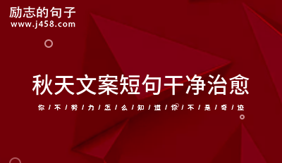 温柔的文案干净治愈关于秋天 (57句)