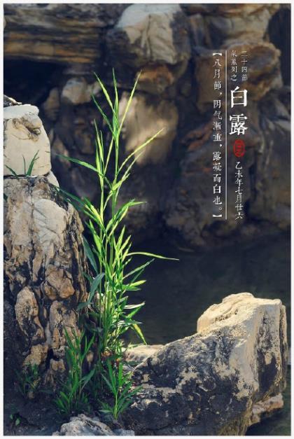快手说说励志短语 跨年夜活动策划