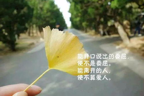 说说心情人生感悟