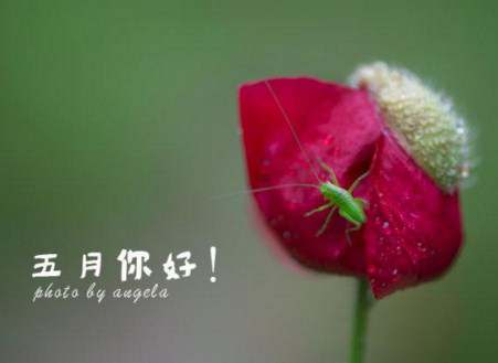 适合五月发的说说文案 抖音上热门简短句子