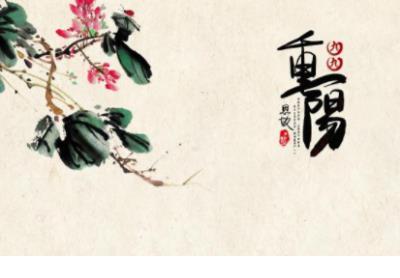 精致女人励志语录 晚安正能量语录加图片