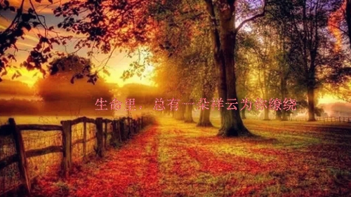 不负青春正能量的句子文案(精选28句)