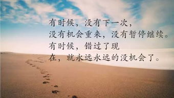 毒鸡汤语录
