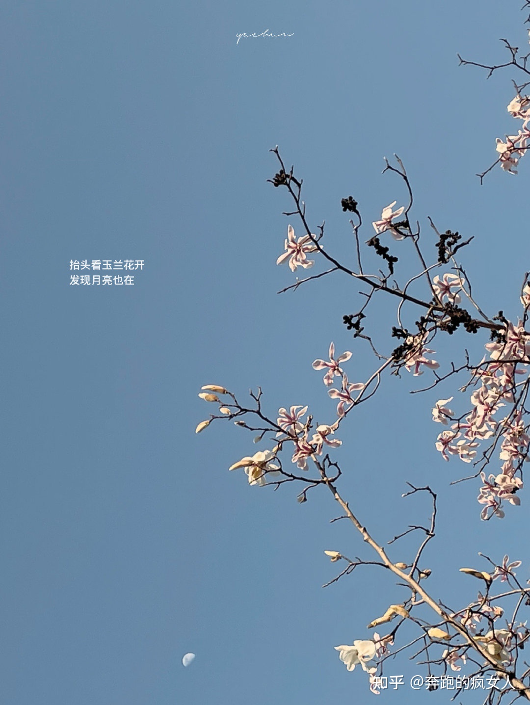 为啥你运气不好，因为你没全力以赴地活着