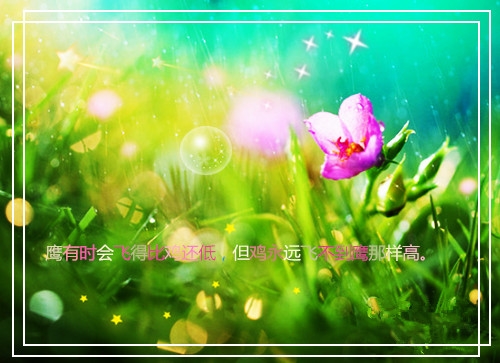 适合生活日常的朋友圈说说汇编49句