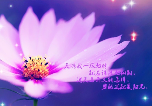 手帐内容摘抄励志 手帐励志的句子汇编52句
