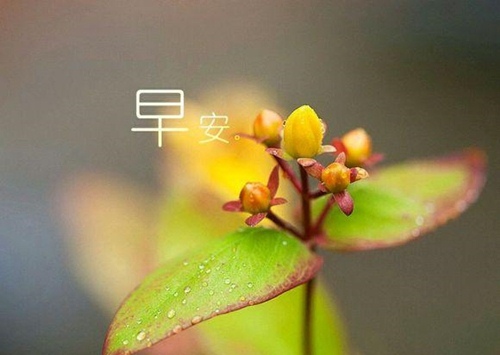 早晨发朋友圈的话语鼓励，读完元气满满！汇编34句