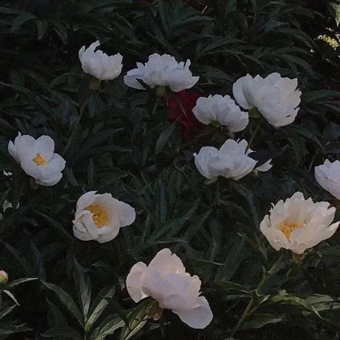 改变自己调整心态的说说