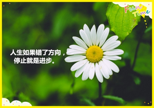 人生就像摩天轮的语录合集45句