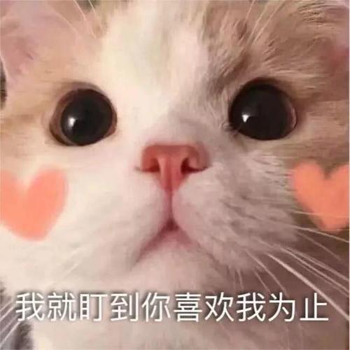 撩男人的说说大全合集31句