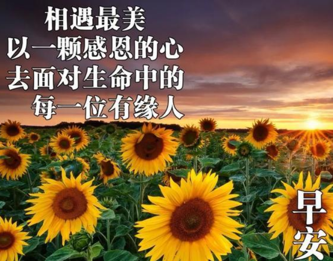 每一个清晨的经典语录短句 清晨经典早上好问候语