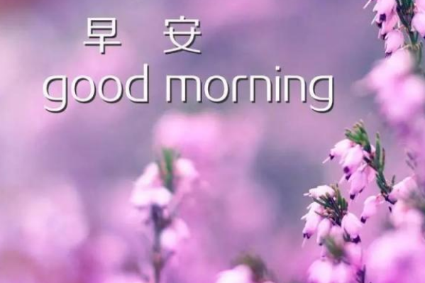 每一个清晨的经典语录短句 清晨经典早上好问候语