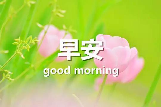 父亲节祝福语简短独特 父亲节煽情文案短句