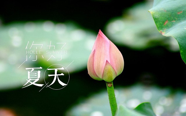 夏至经典语录 夏至语录简短
