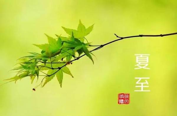 夏至经典语录 夏至语录简短