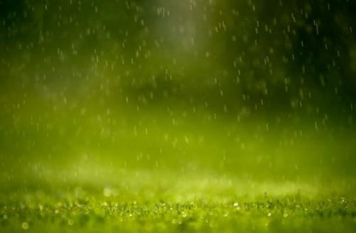 听雨睡觉的说说 适合雨夜的伤感句子汇编32句