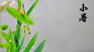 小暑祝福语 小暑节气祝福短信