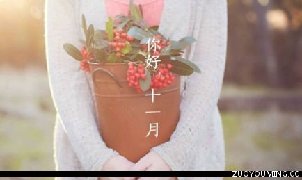 朋友圈十一月第一天说说怎么发 十一月第一天的祝福语2021