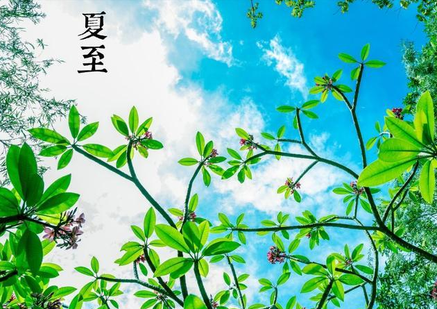夏至到来美好说说