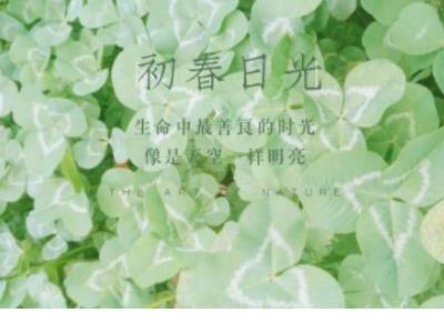 签名说说励志 个性签名励志经典短句