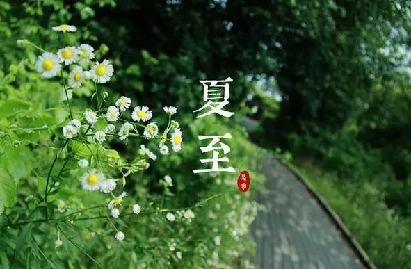 有关夏至的优美句子