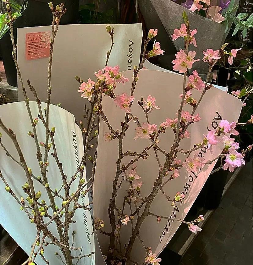 精致又很高级的句子