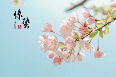 惊蛰节气的朋友圈文案，有关春天节气的唯美句