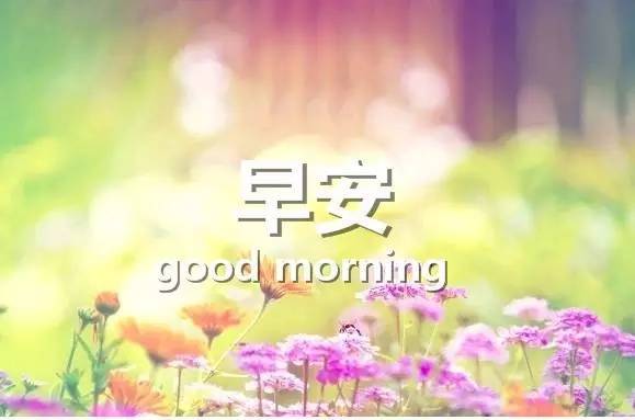 适合早上发的句子 早上朋友圈一句励志问候语