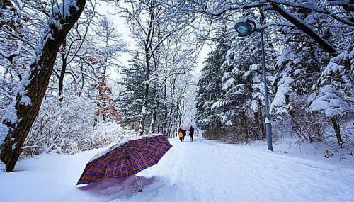 下雪了说说短句 2022最火下雪文案短句
