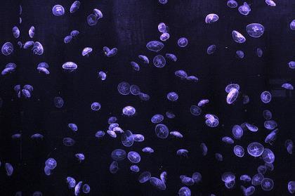 下雨心情说说感悟生活 人生感悟励志经典句子
