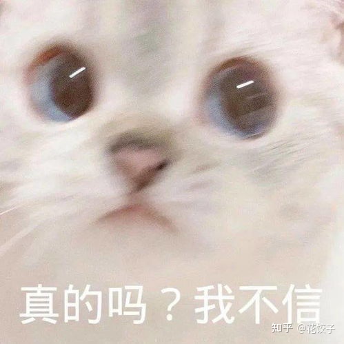 “预言”如果这么棒，这福气给你要不要？