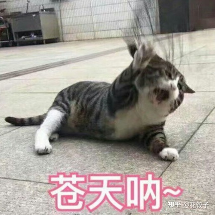 “预言”如果这么棒，这福气给你要不要？