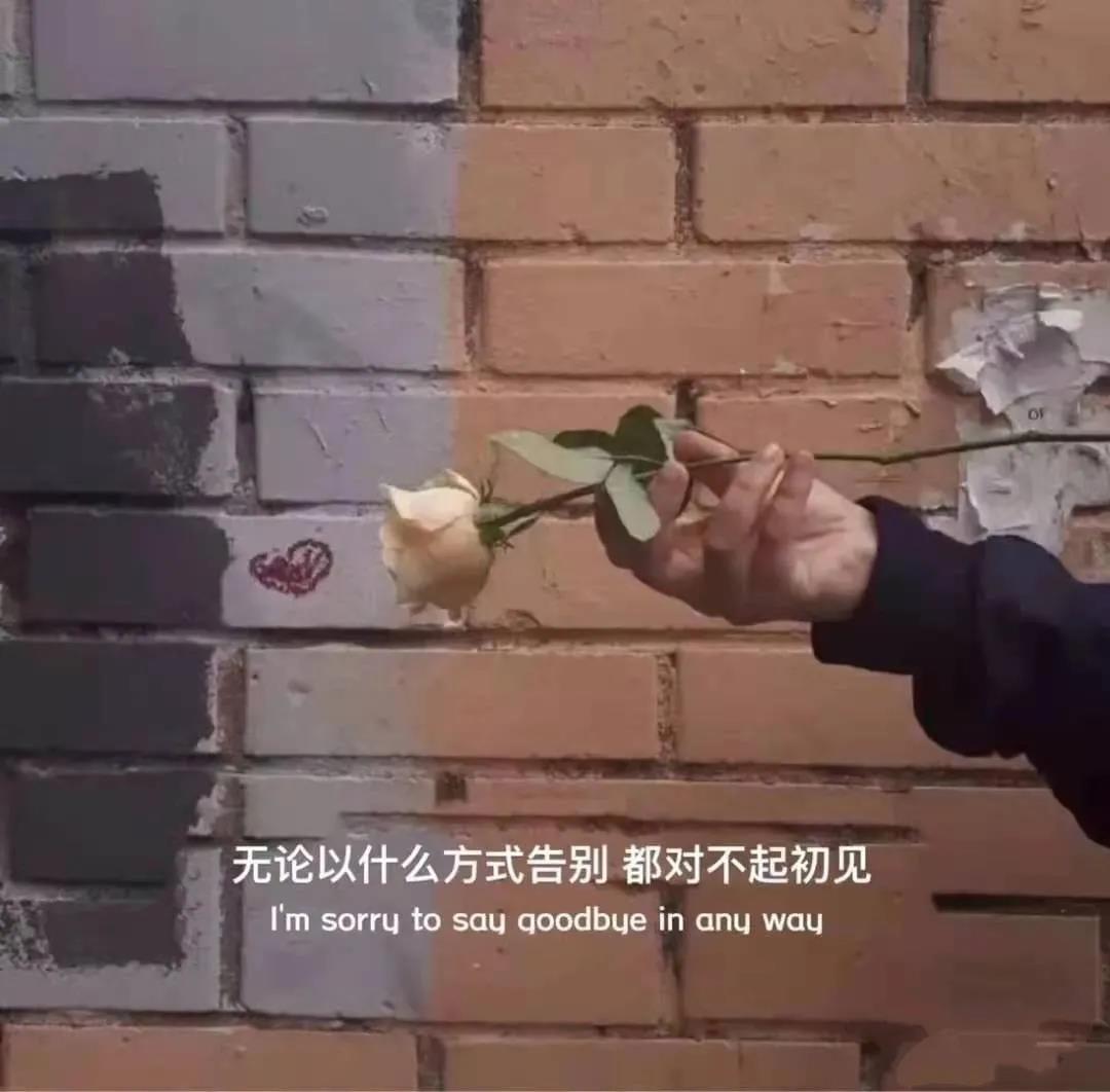 抖音非常火的文案