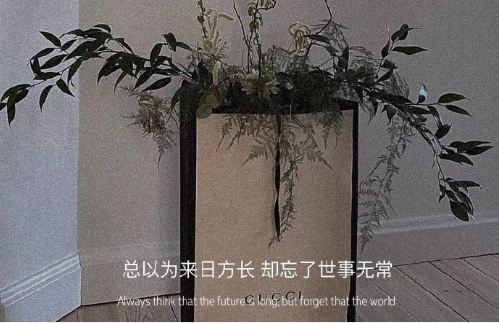 备忘录里的意难平文案