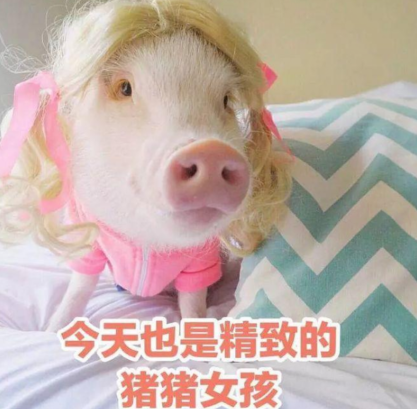 能让你人气暴涨的沙雕文案