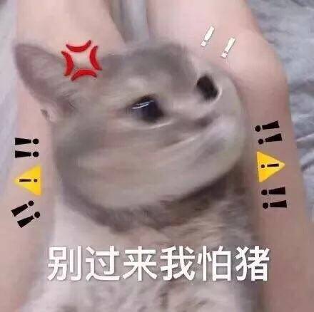 能让你人气暴涨的沙雕文案