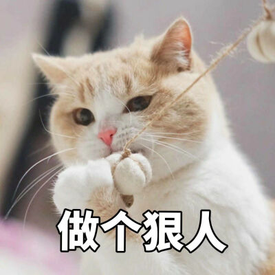 能让你人气暴涨的沙雕文案