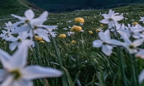 生活心酸又无奈的句子 精选十句伤心语录