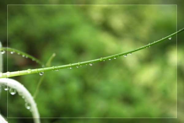 下雨的说说唯美句子 雨天优美句子适合雨天发的说说