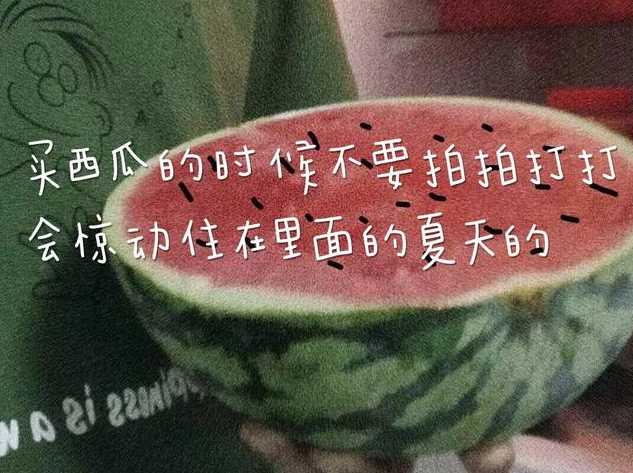 关于夏季的温柔句子
