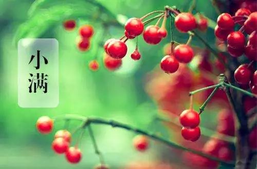 小满节气的特点和风俗