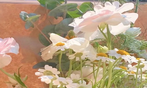 祝生日快乐的唯美短句 独一无二的生日祝福语