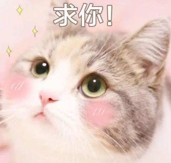 奶里奶气的呆萌甜句