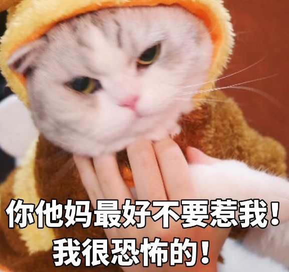 超奈斯古灵精怪的可爱皮句