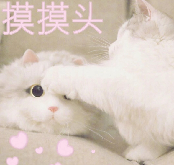 超奈斯古灵精怪的可爱皮句