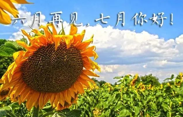 六月再见七月你好短句